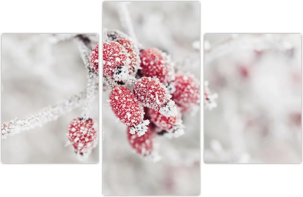 Tablou - Fructe congelate (90x60 cm)