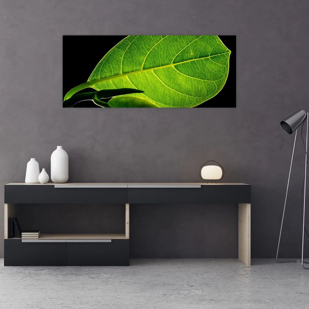 Tablou - frunză verde (120x50 cm)