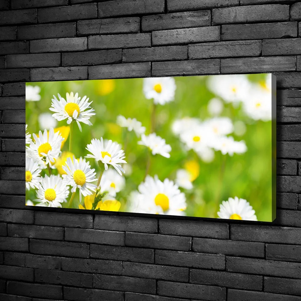 Imprimare tablou canvas Margarete