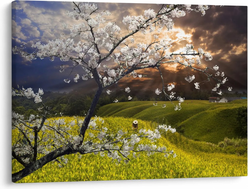 Tablou - Peisaj cu pomul înflorit (70x50 cm)