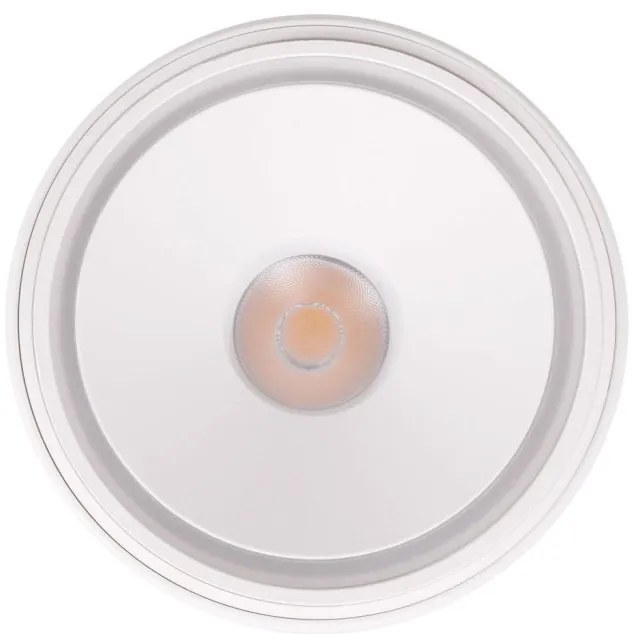 Spot LED Aplicat Directionabil Design Modern, Zeus 10w alb