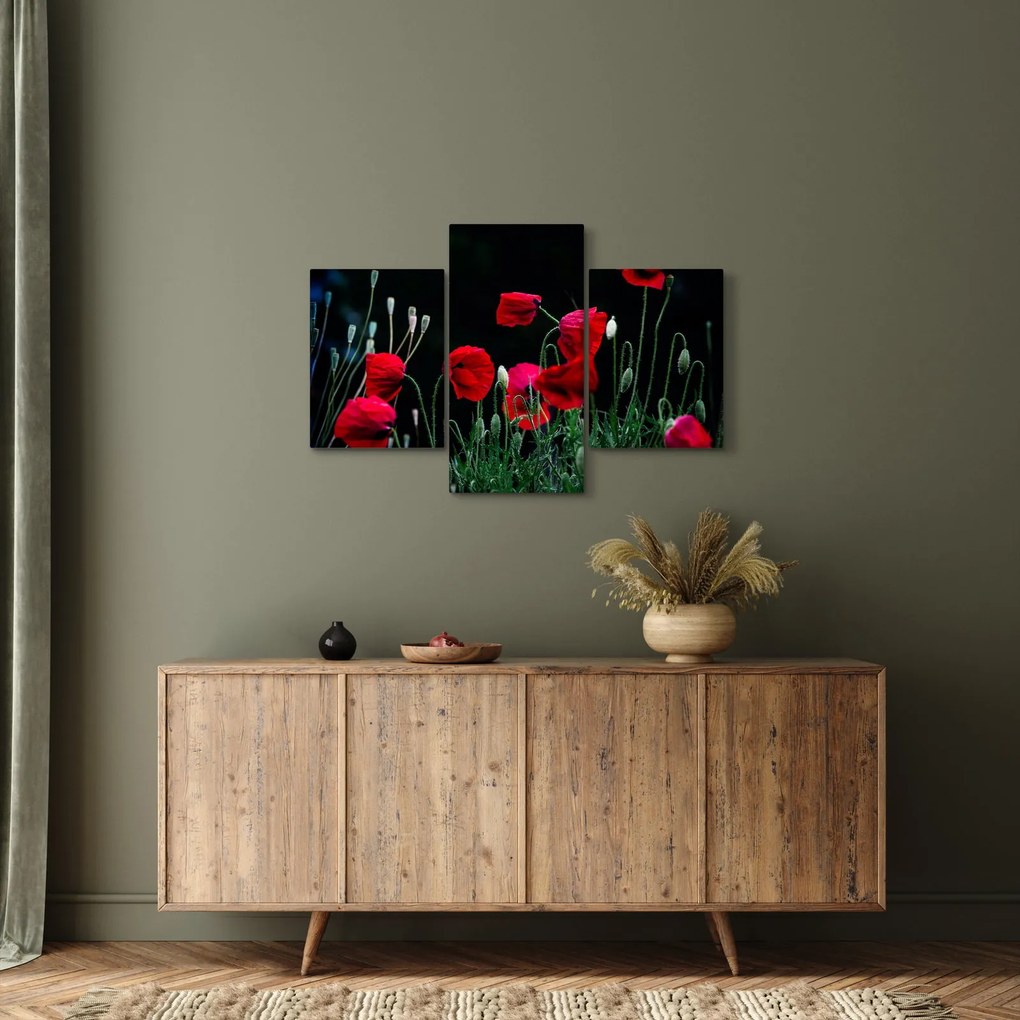 Tablou - Dansul macilor (90x60 cm)