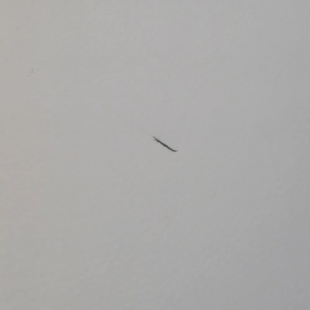 RESIGILAT - Scaun de bar din piele eco si cadru metalic ABS 113 rosu