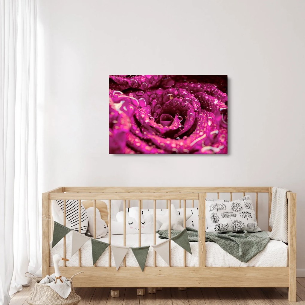 Tabloul cu floarea trandafirului roz (90x60 cm)