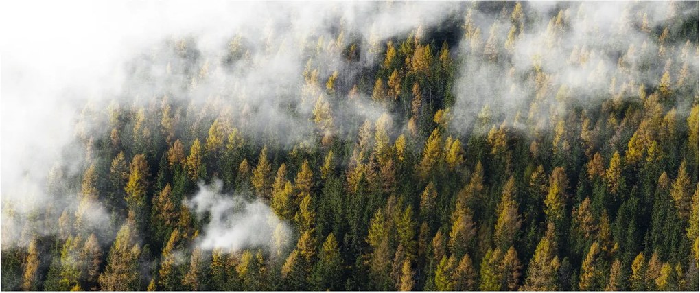 Tablou - Pădure în nori (120x50 cm)