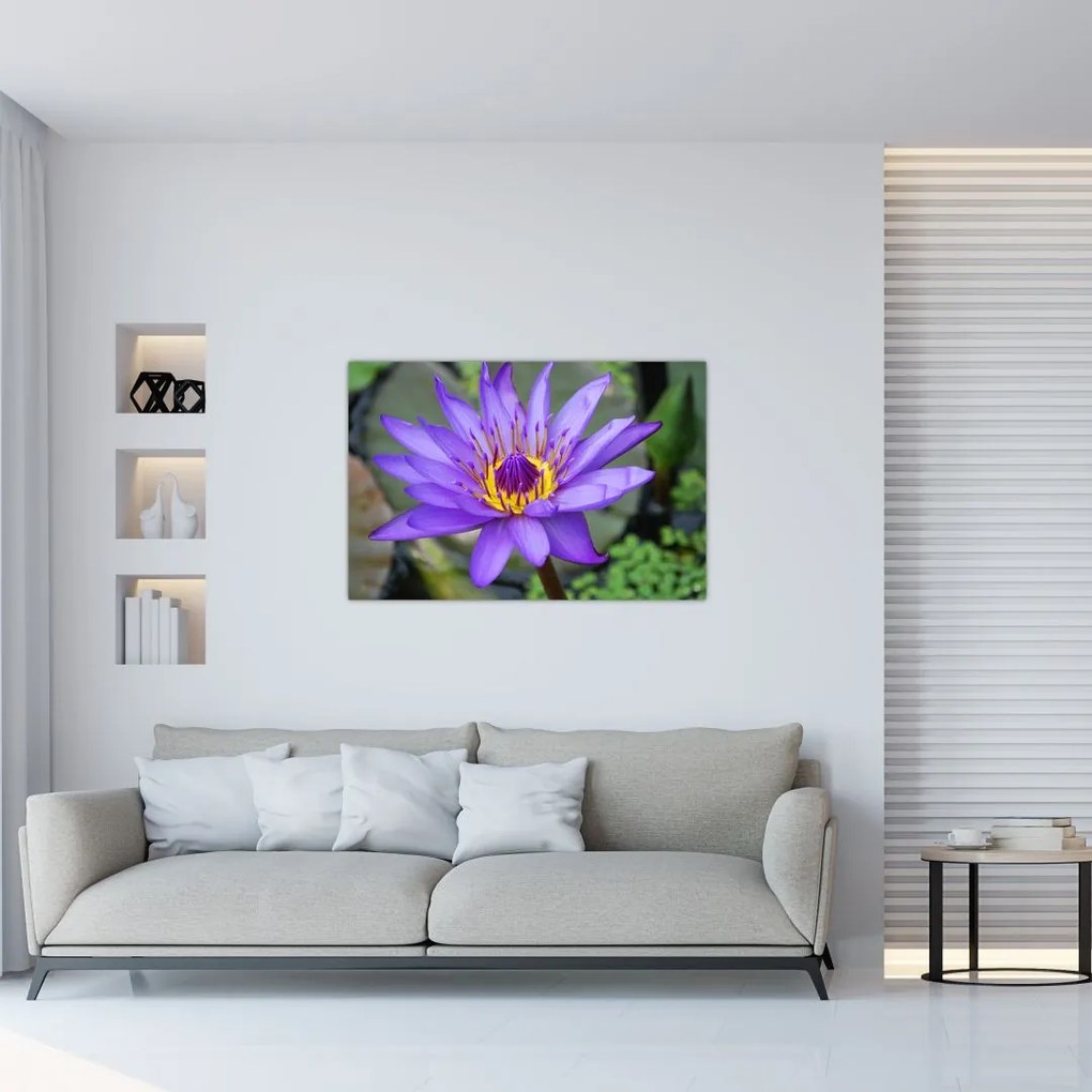 Tablou - Floare violet (90x60 cm)