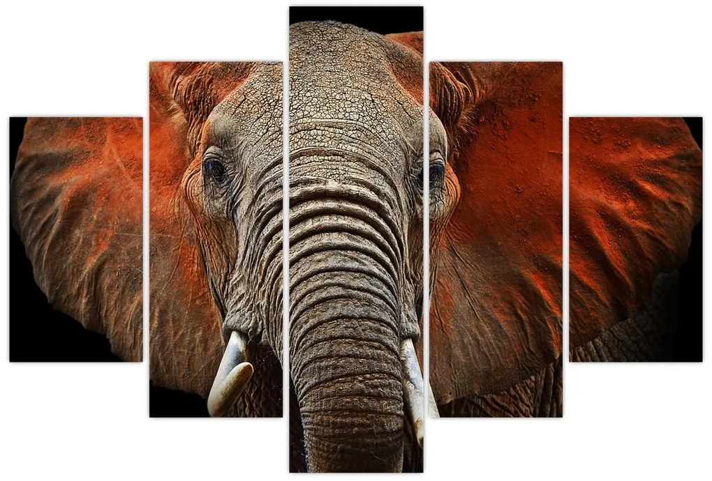 Tablou - Elefanți cu Tsavo (150x105 cm)