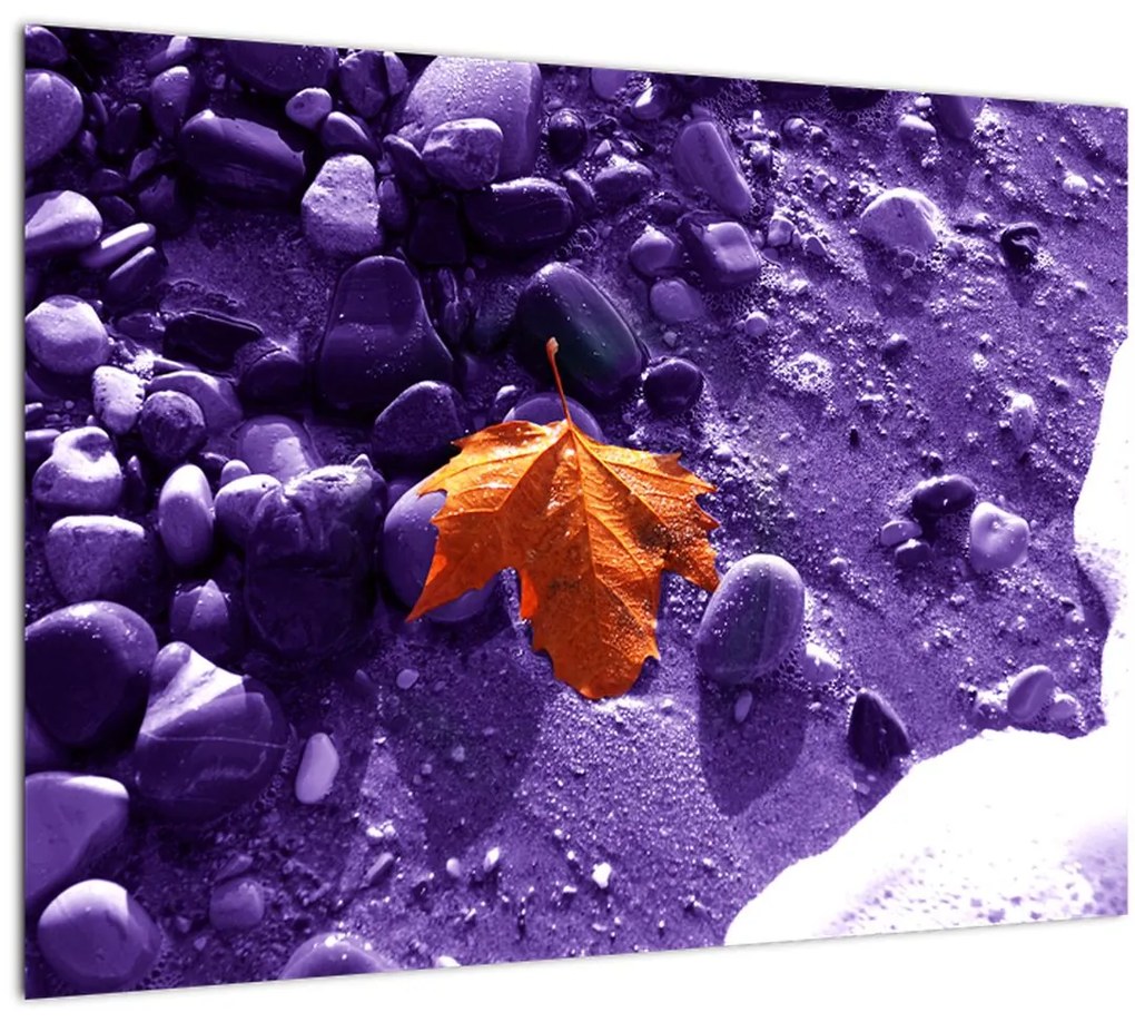 Tablou - Plaja mării (70x50 cm)