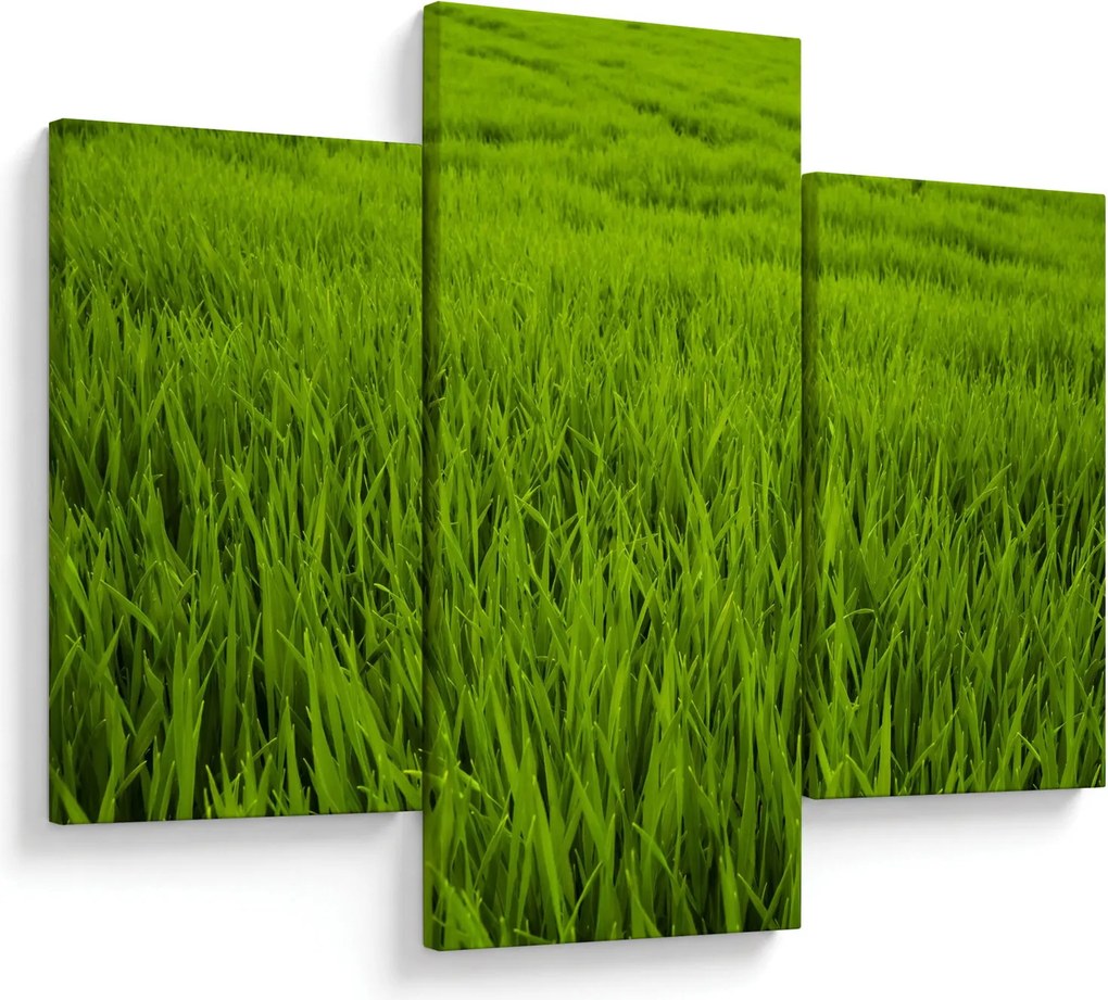 Tablou cu iaraba (90x60 cm)