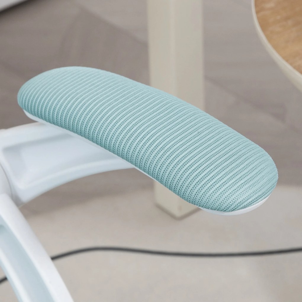 Vinsetto Scaun Birou Ergonomic Albastru Dimensiuni Variabile Suport Lombar Integrat | Aosom Romania