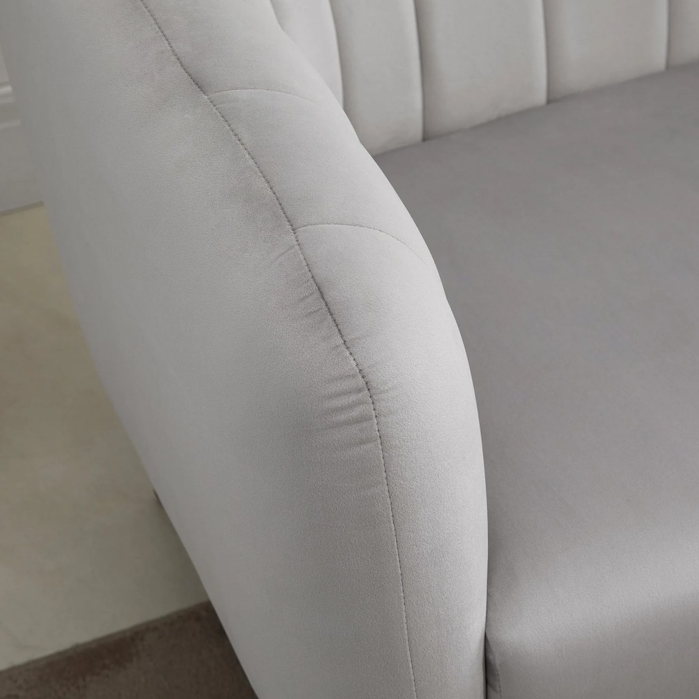 HOMCOM Canapea 2 Locuri Design Modern Captusita cu Cotiere si Spatar, Gri