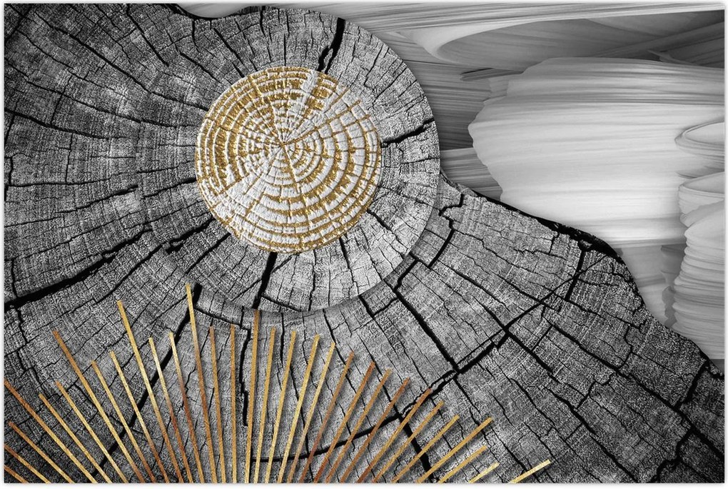 Tablou - Trunchiul copacului colaj (90x60 cm)