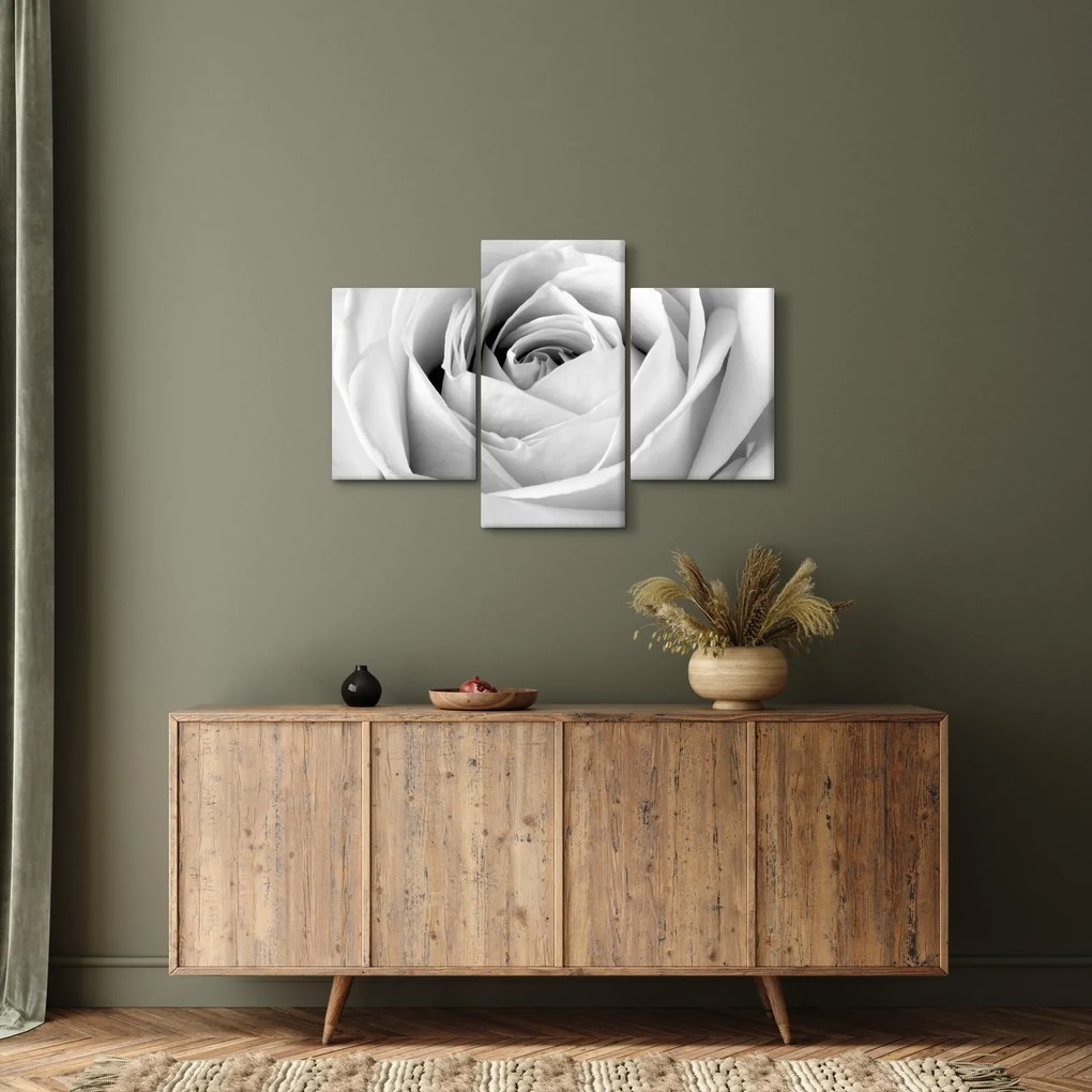Tablou - Detailu de floare de trandafir (90x60 cm)