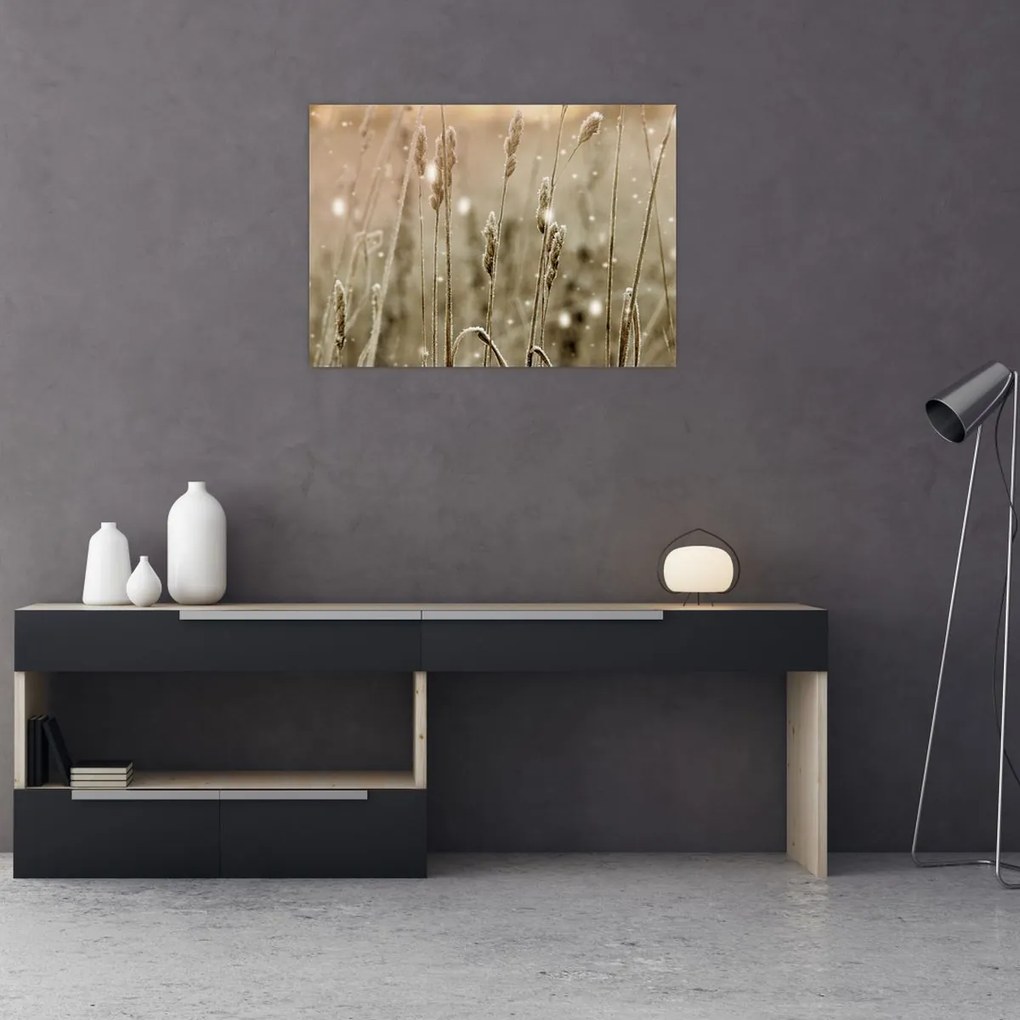 Tablou pe sticlă - Pajiște armonioasă (70x50 cm)