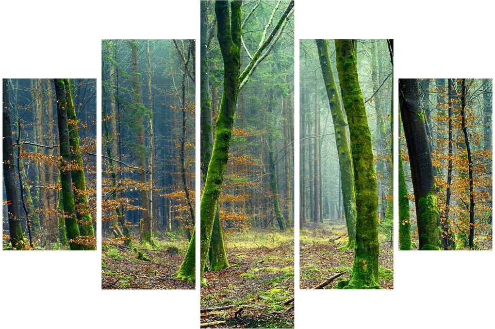 Tablou cu pădure (150x105 cm)