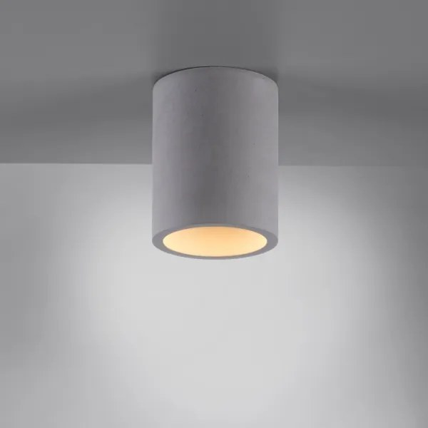 Spot ETON 1xGU10/10W/230V Paul Neuhaus 6160-22