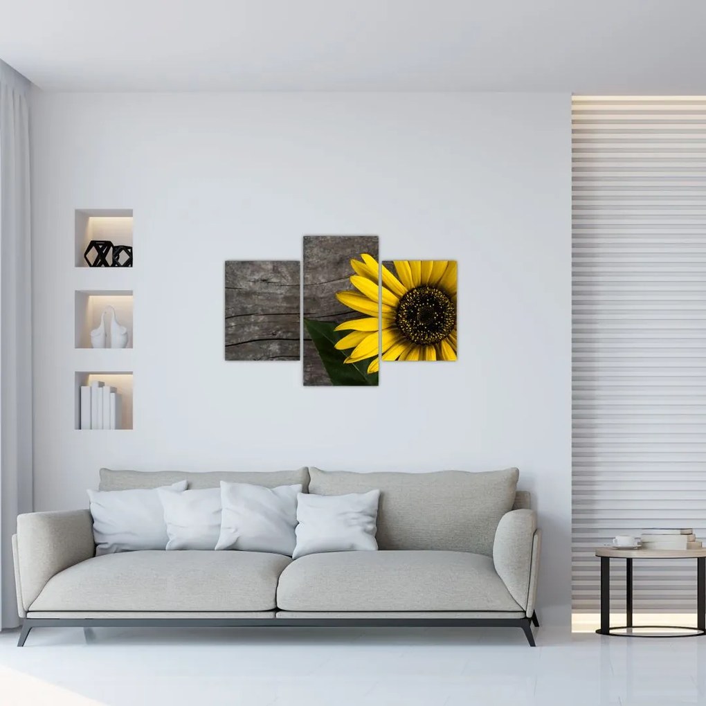 Tablou - Floare de floarea soarelui (90x60 cm)