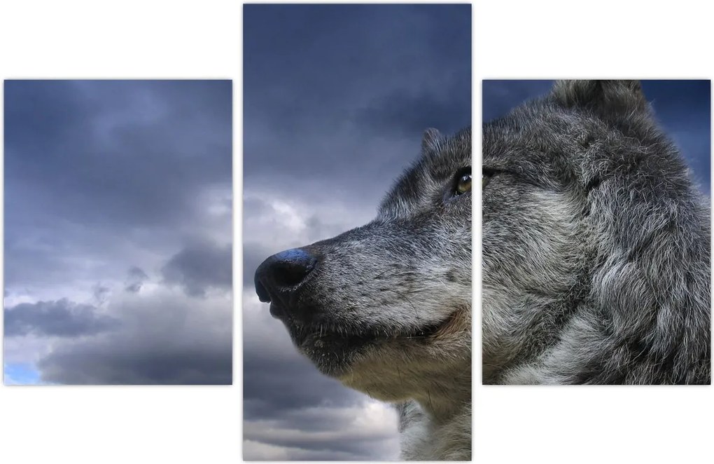 Tablou - Cap de lup (90x60 cm)