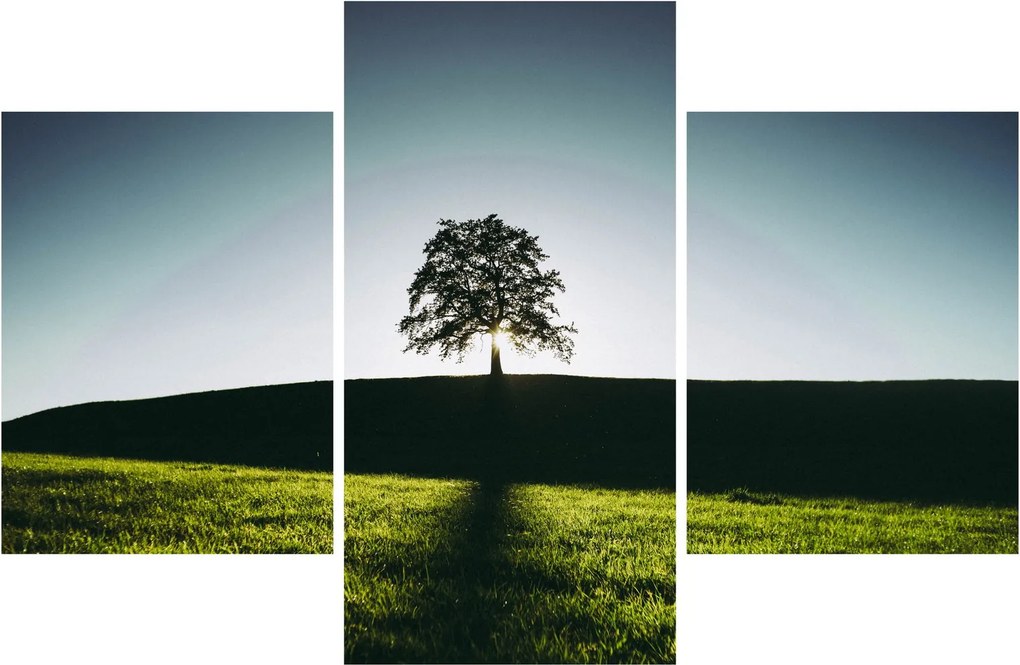 Tablou cu natura - copac (90x60 cm)