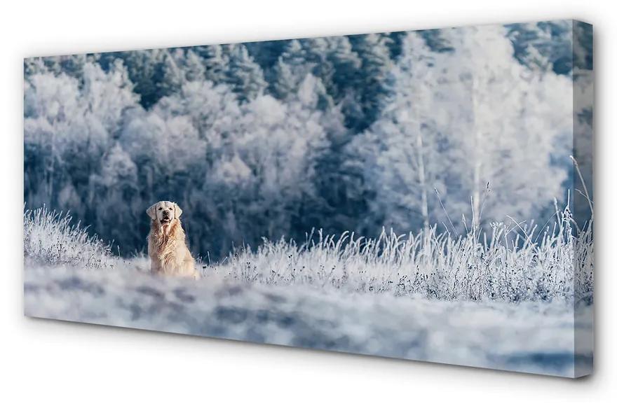 Tablouri canvas Iarna câine de munte