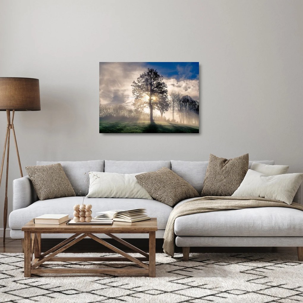 Tablou pe sticlă cu copac în ceață (70x50 cm)