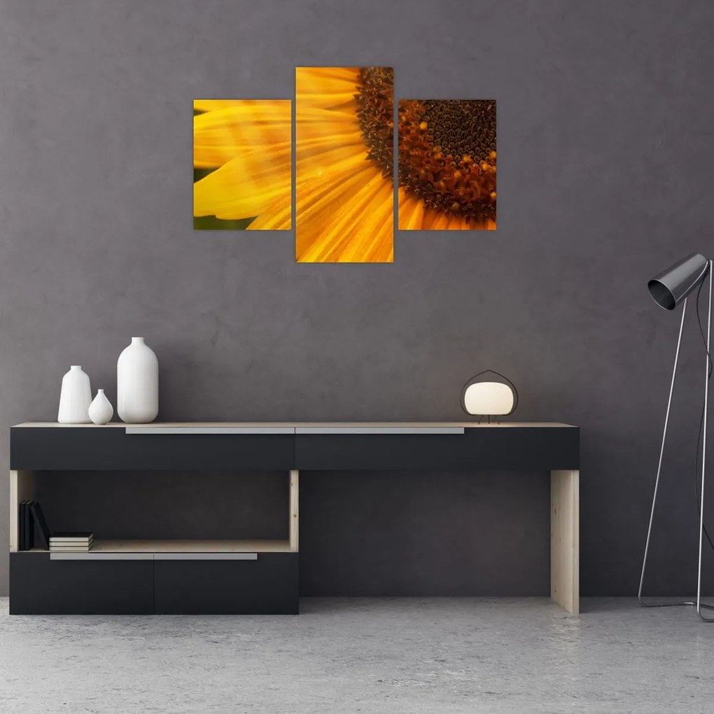 Tablou - Floarea-soarelui (90x60 cm)