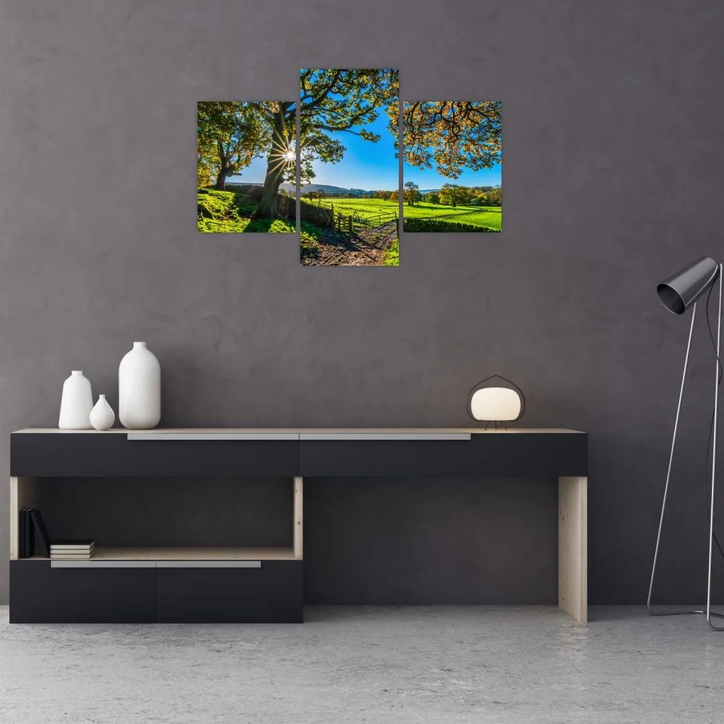 Tablou Privire la câmp (90x60 cm)