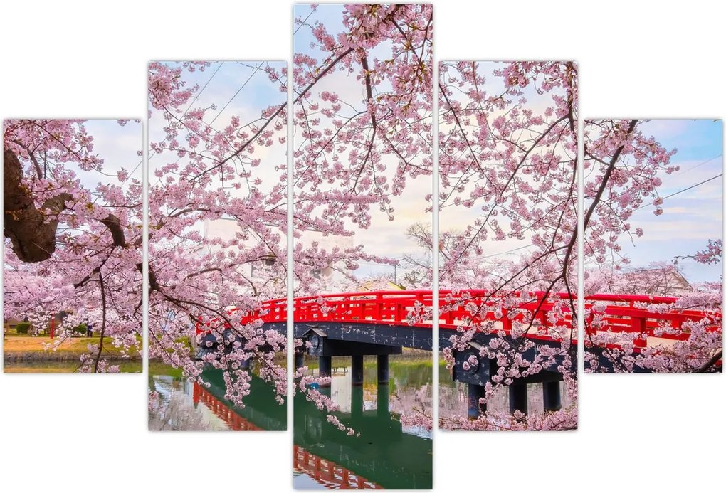 Tablou - Hirosaki, Japonia (150x105 cm)