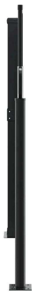 Copertina laterala retractabila, negru, 117x1200 cm Negru, 117 x 1200 cm