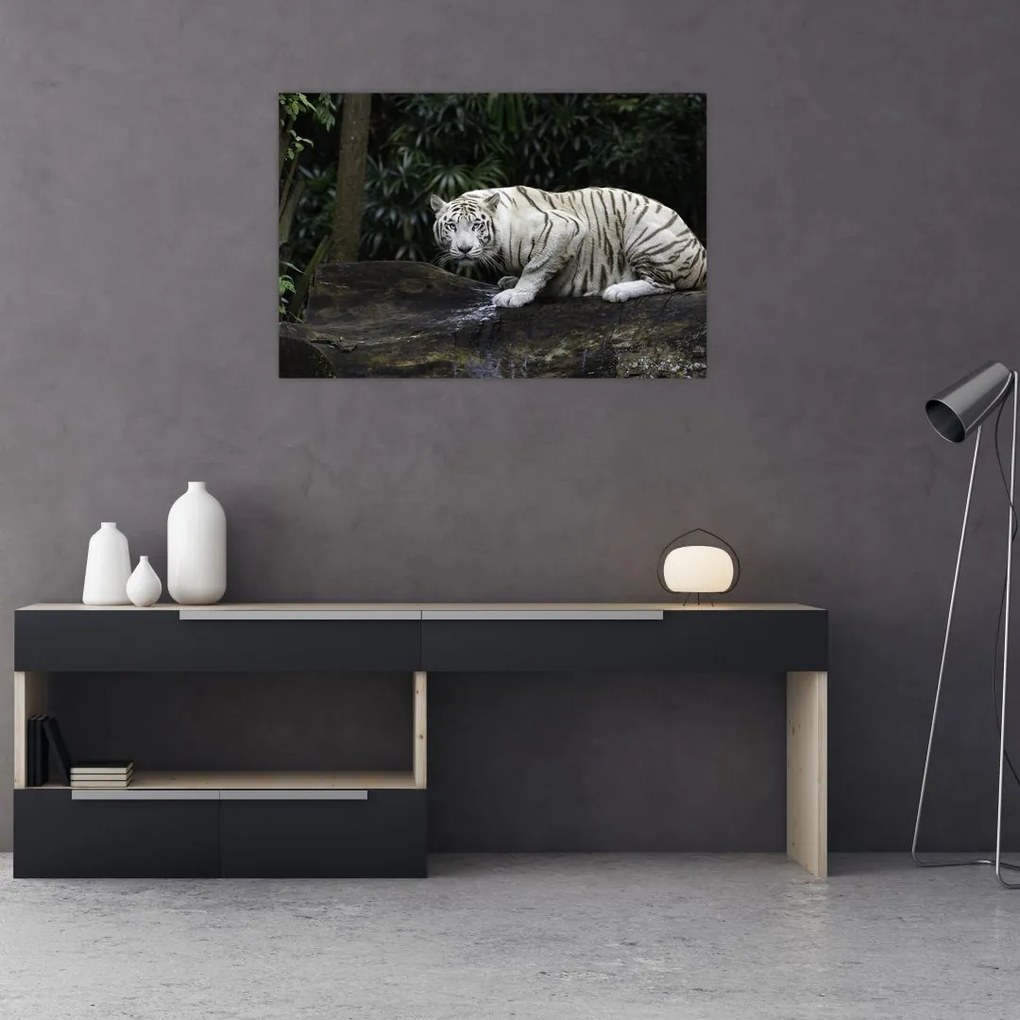 Tablou - Tigru alb (90x60 cm)