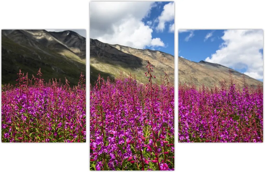 Tablou sceneriei cu lunca montană (90x60 cm)