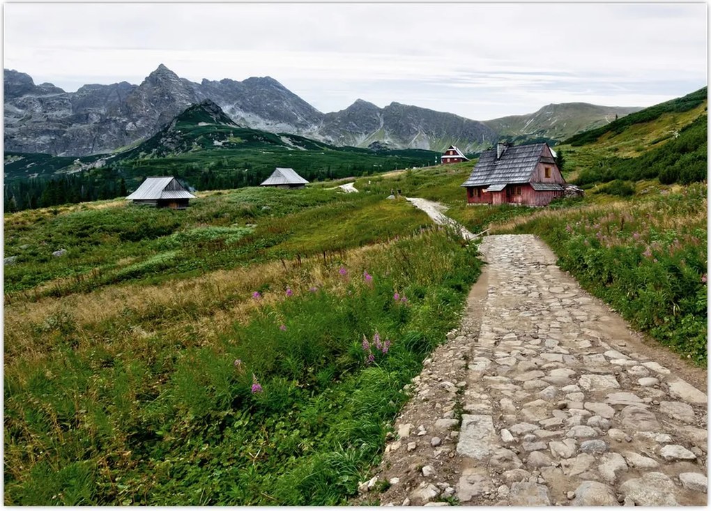 Tablou - Peisaj montan cu case (70x50 cm)