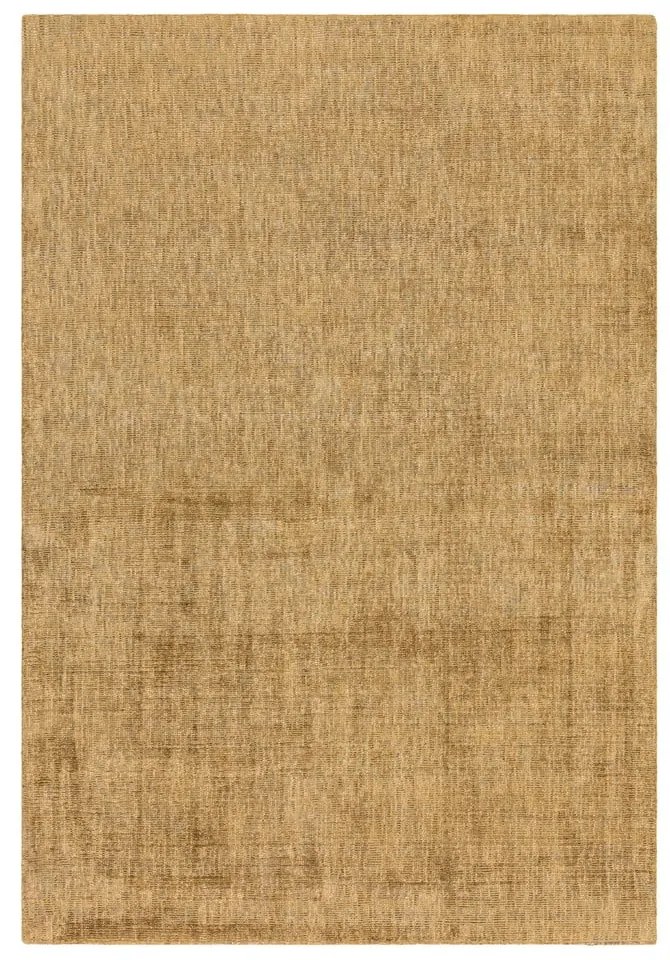 Covor galben 230x160 cm Aston - Asiatic Carpets