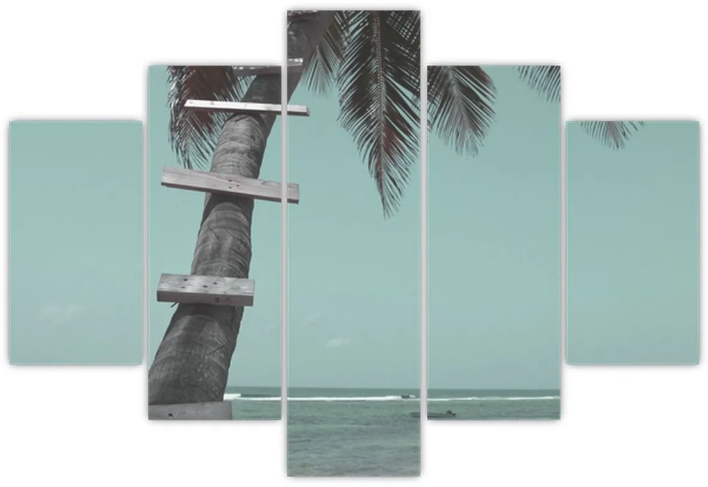 Tablou - Palma în Caraibe (150x105 cm)