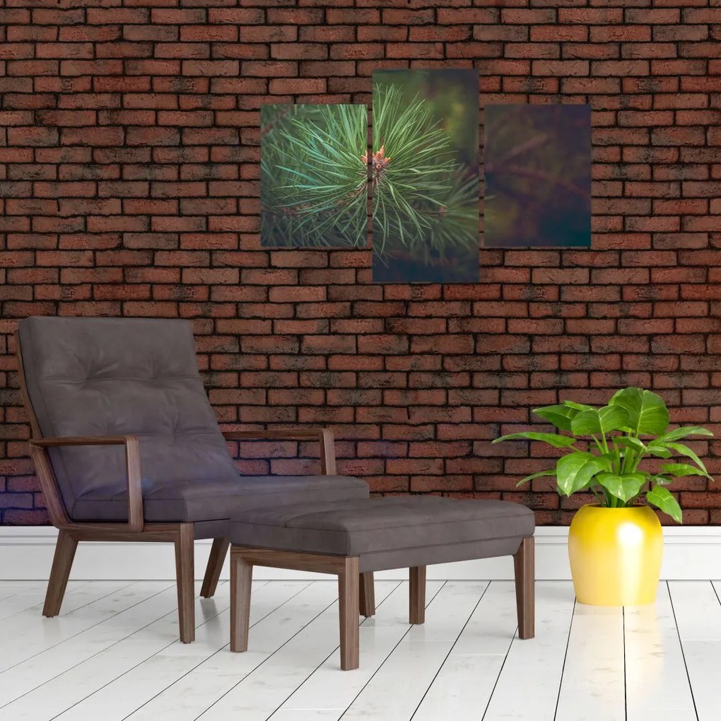 Tablou - Pin (90x60 cm)