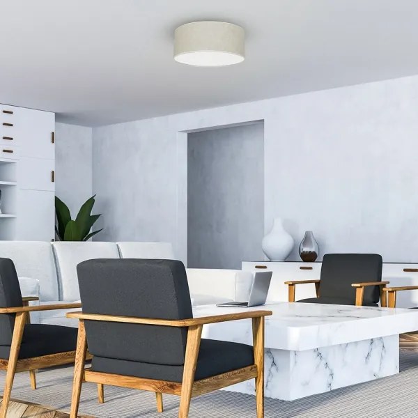 Plafonieră LINO 2xE27/60W/230V