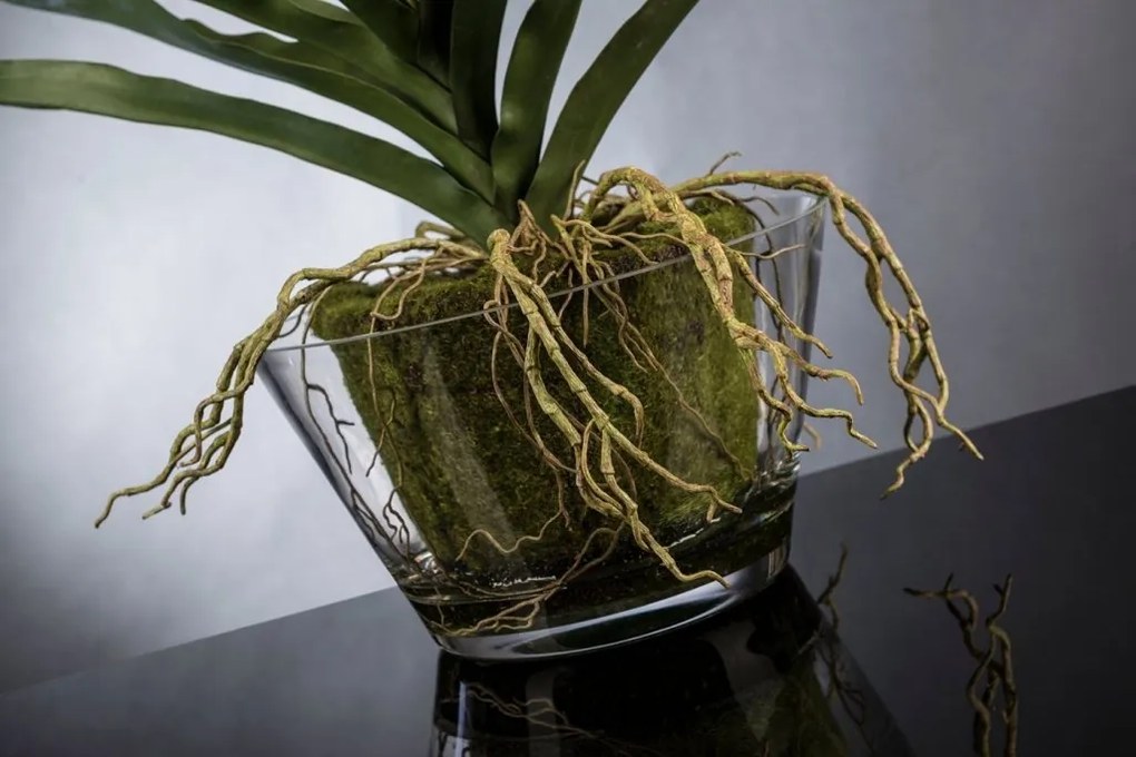 Aranjament floral mediu design LUX VANDA CLUMP