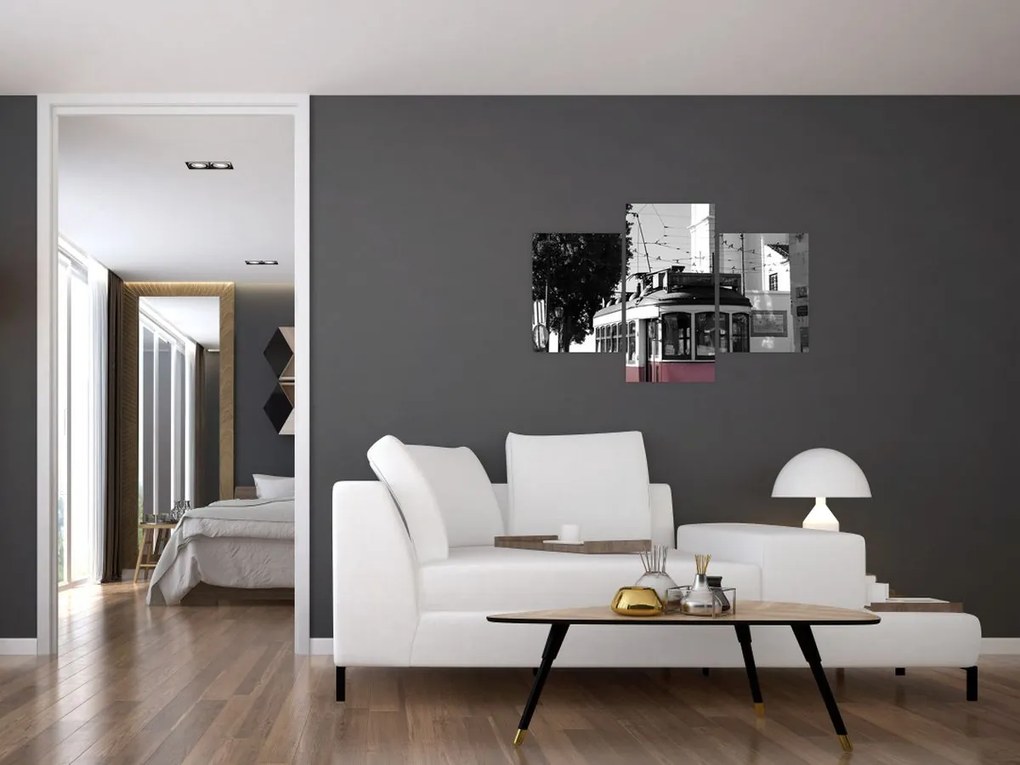 Tablou - Tramvaiul (90x60 cm)