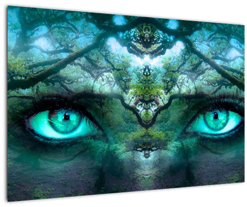 Tablou - Privire (90x60 cm)