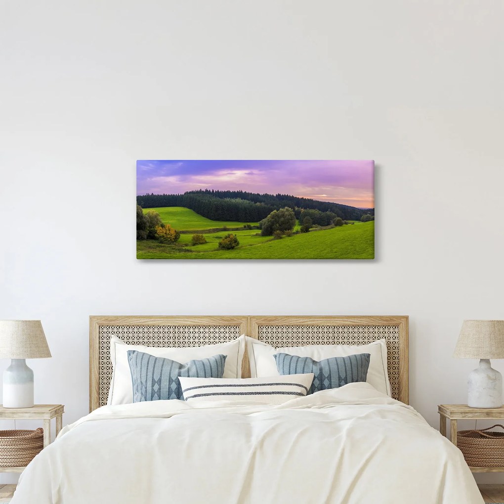 Tablou cu lunca (120x50 cm)