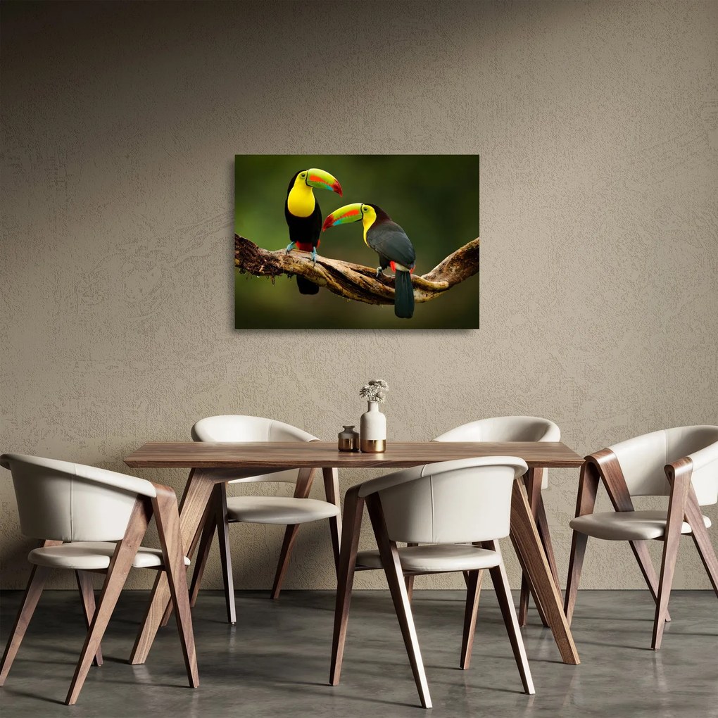 Tablou pe sticlă tucani sezând , Costa Rica (70x50 cm)