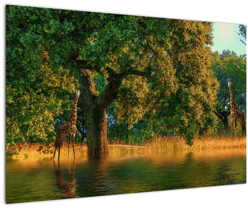 Tablou cu girafe în natură (90x60 cm)