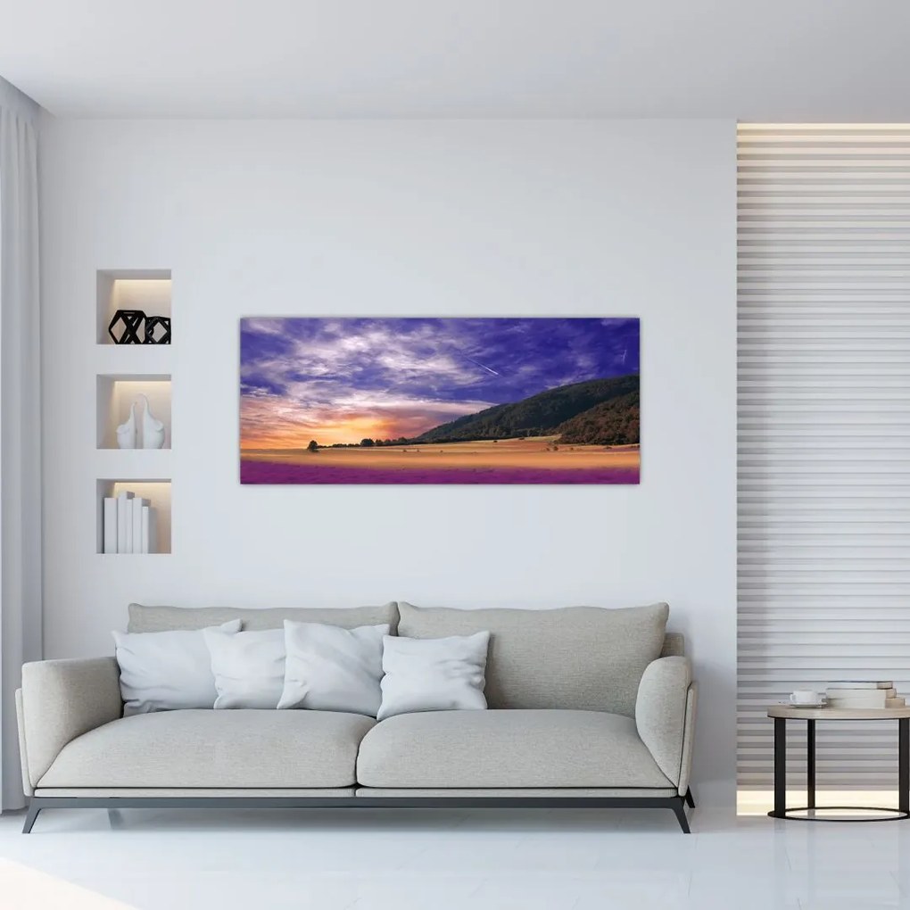 Tablou cu lunca cu lavandă (120x50 cm)