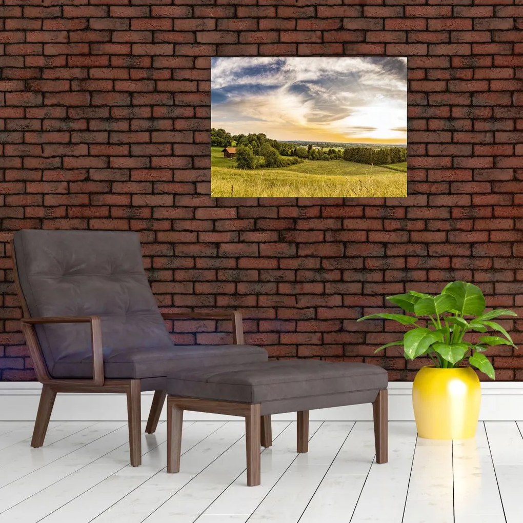 Tablou cu peisaj (70x50 cm)