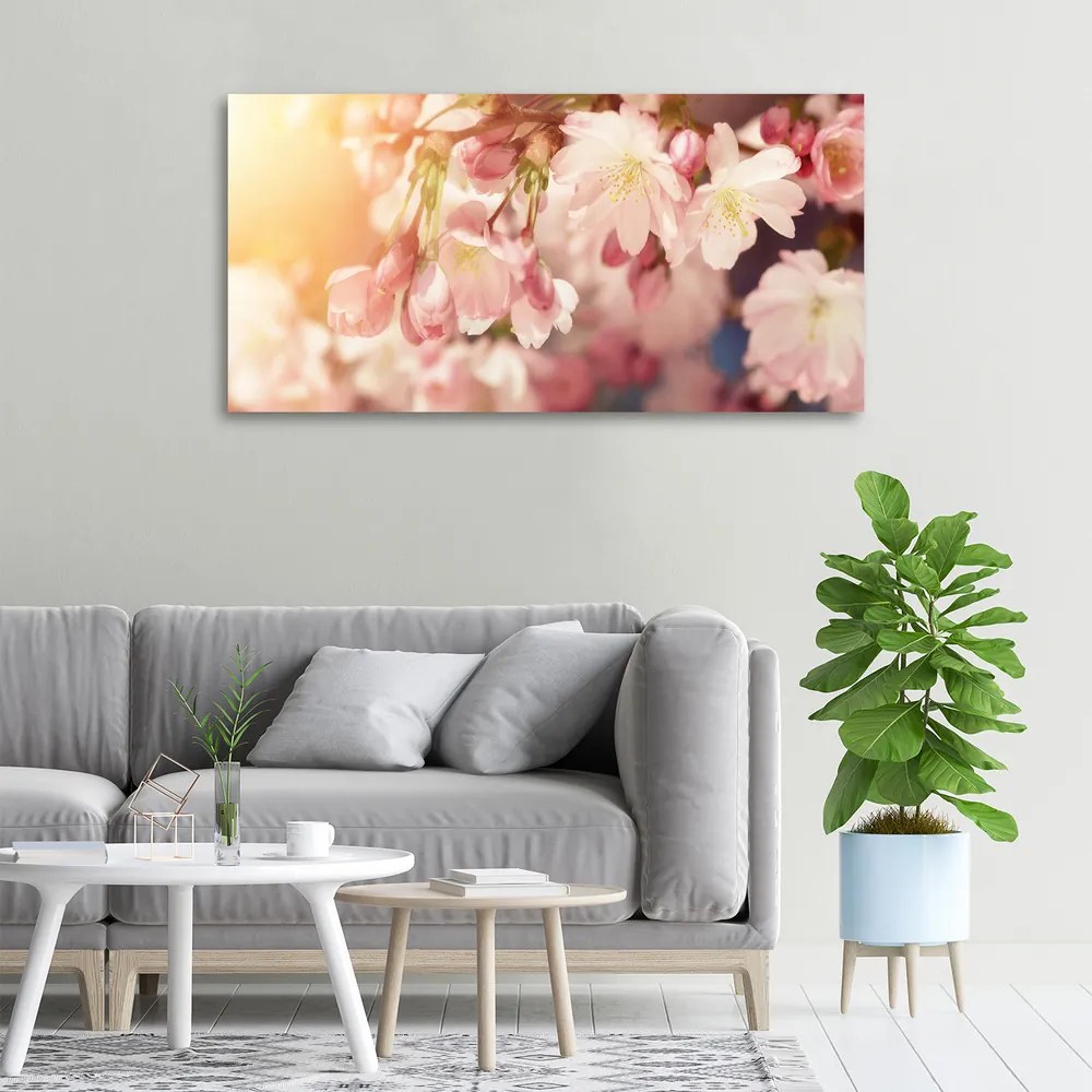 Print pe canvas Flori de cireș