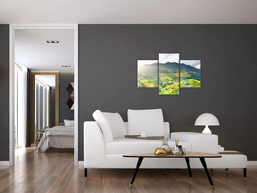 Tablou plantație (90x60 cm)