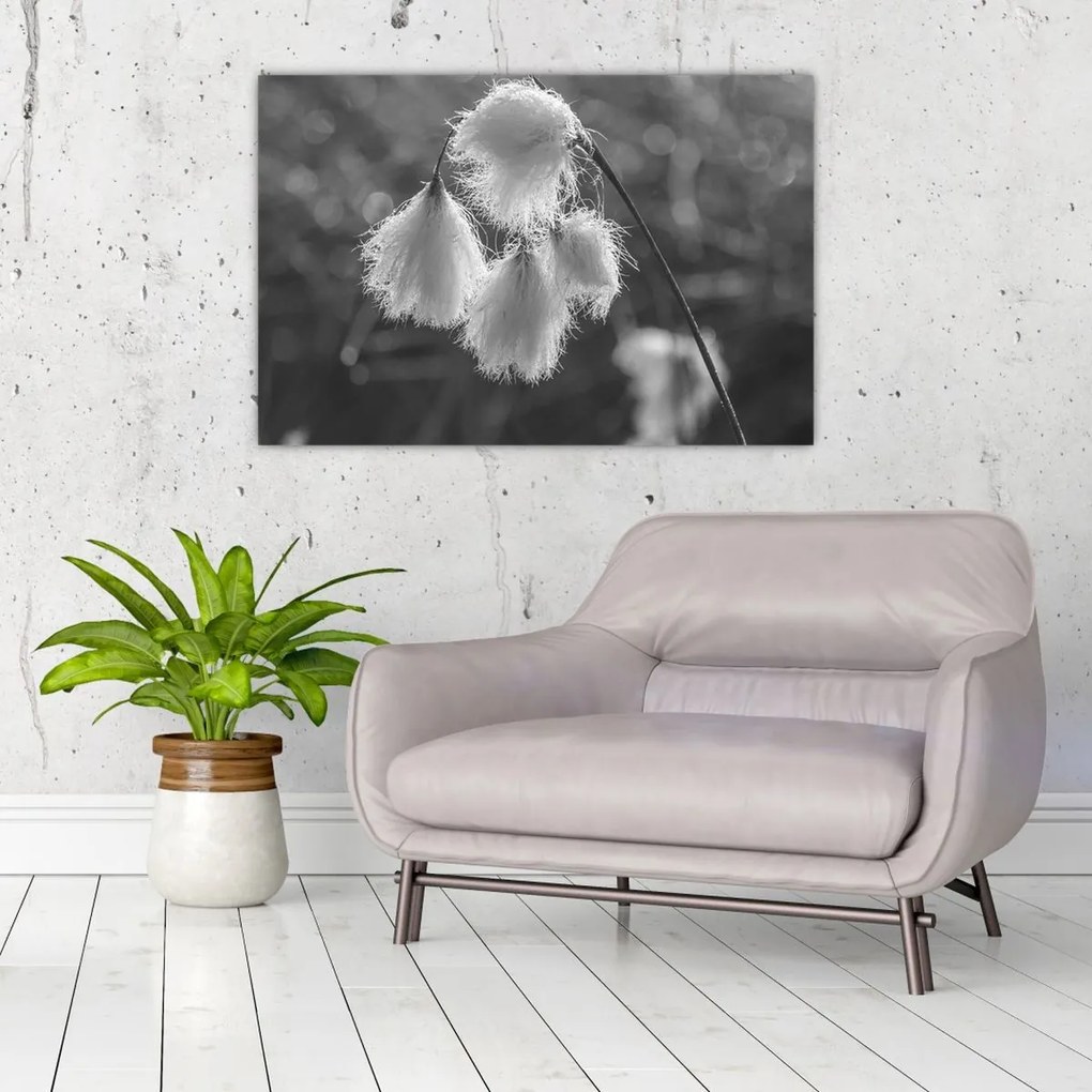 Tablou - Iarba de bumbac (90x60 cm)