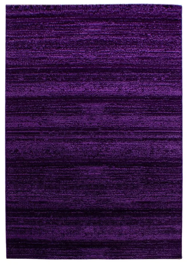 Covor violet 140x200 cm Plus – Ayyildiz Carpets