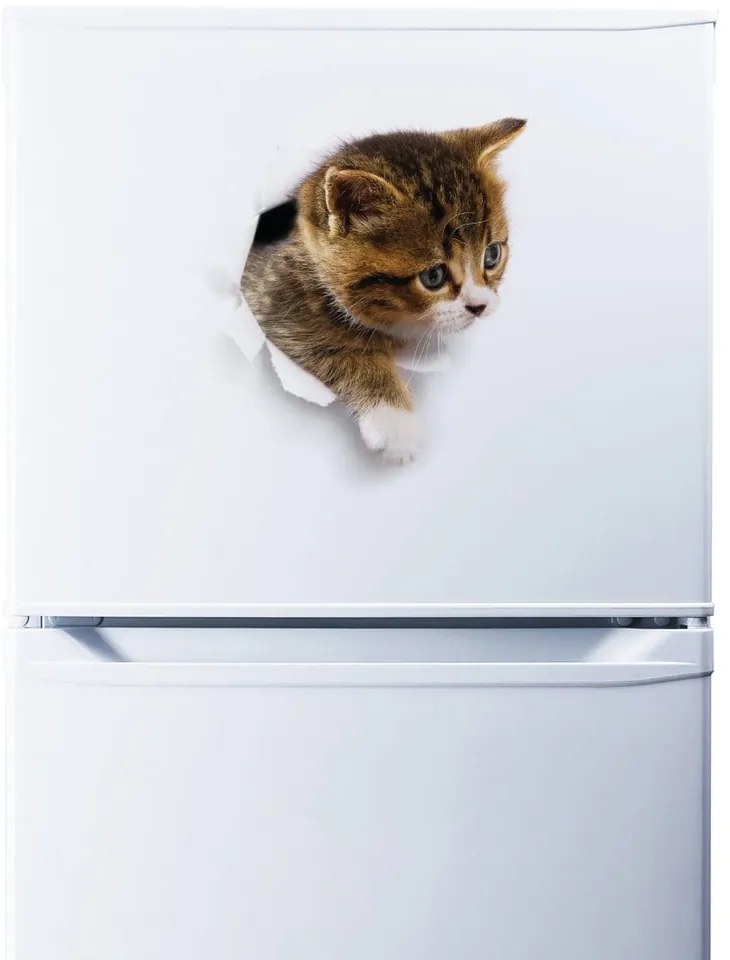 Autocolant de perete Ambiance Hiding Cat