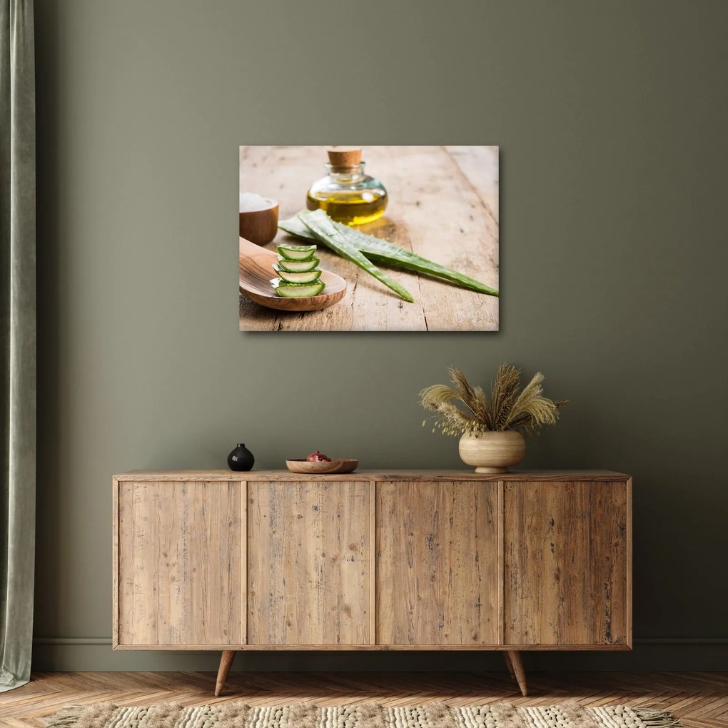 Tablou - Aloe vera (70x50 cm)